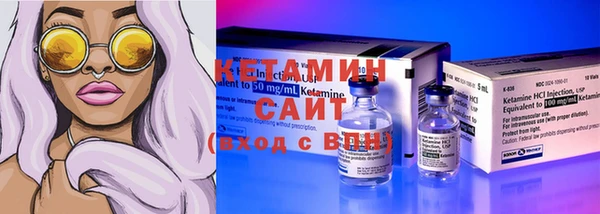 хмурый Аркадак