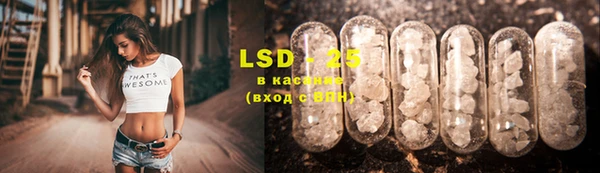 PSILOCYBIN Армянск