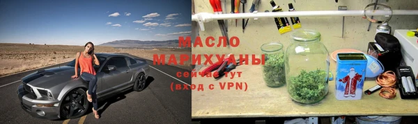 хмурый Аркадак