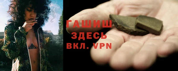 хмурый Аркадак