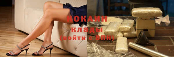 хмурый Аркадак