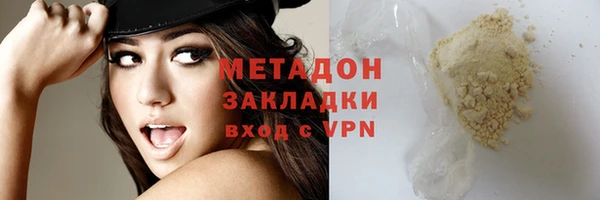 хмурый Аркадак