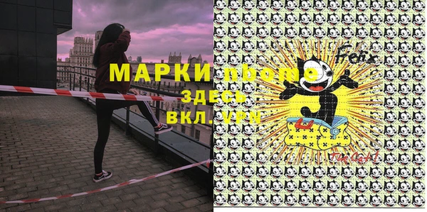 хмурый Аркадак