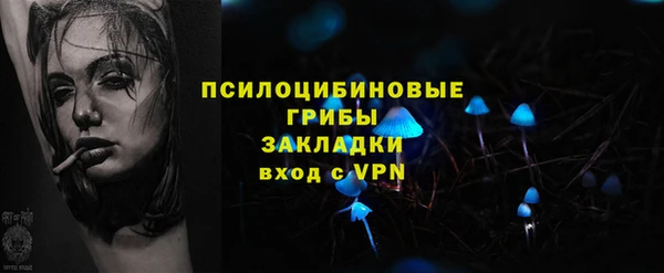 PSILOCYBIN Армянск