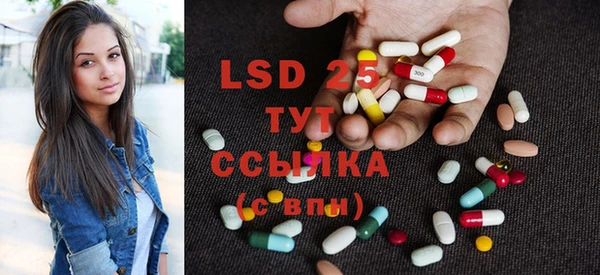 PSILOCYBIN Армянск