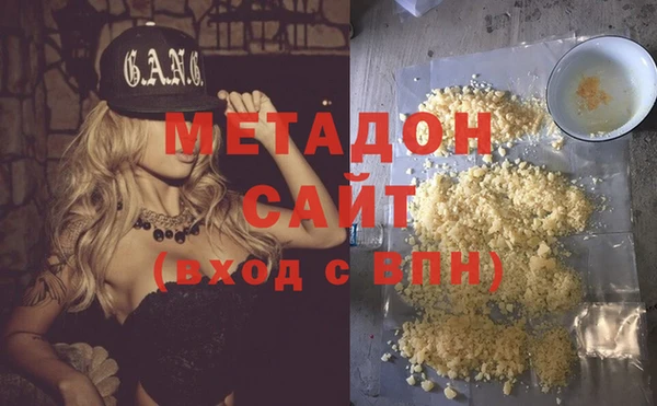 хмурый Аркадак