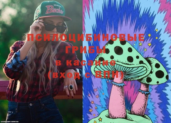 каннабис Арсеньев