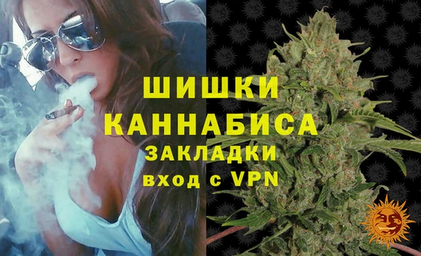 хмурый Аркадак