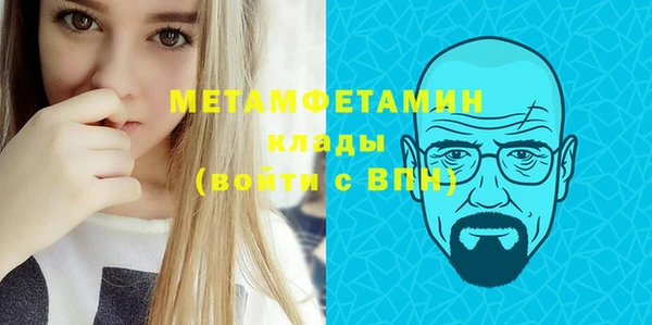 хмурый Аркадак