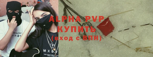 хмурый Аркадак
